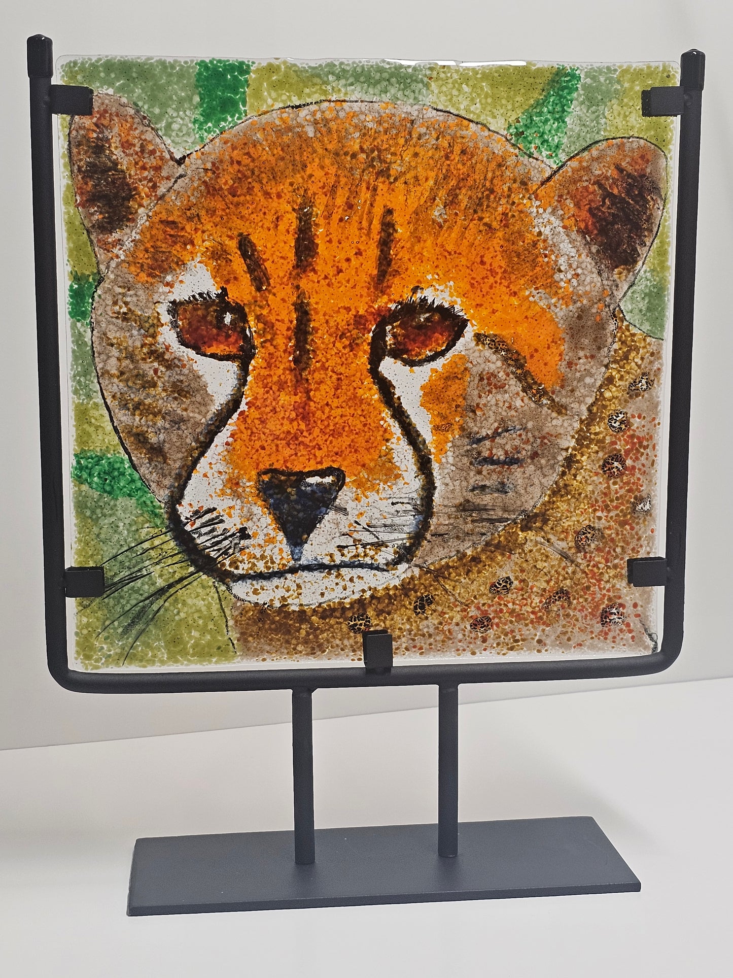 Cheetah